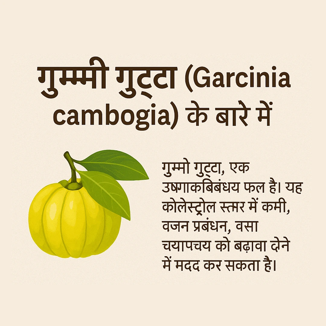 Gummi Gutta (Garcinia Cambogia) के बारे में