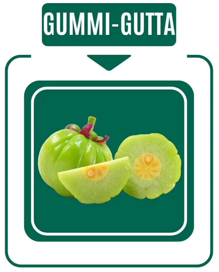 gummi gutta