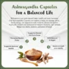 Nirog Lab Ashwagandha Capsule - Increases physical endurance, Boosts the immune system and Supports memory, focus, and mental clarity