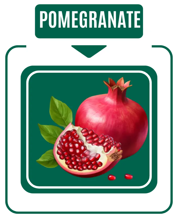 Nirog Lab ACV Tablets Weight Management Formula - Pomegranate