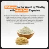 Nirog Lab Musli Gold Capsule - Supports Male Fertility-7