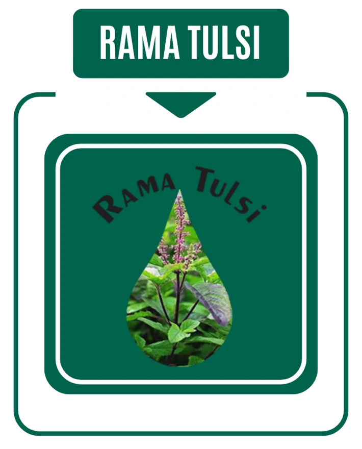 Rama Tulsi Drop By Nirog Lab