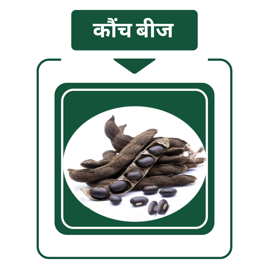 NGH kaunch ka beej